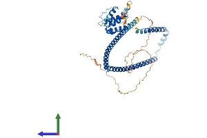 Protein Structure (PS) image for Clusterin Associated Protein 1 (CLUAP1) (AA 1-413) protein (His tag) (ABIN7546617)
