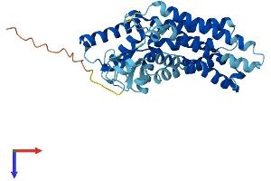 Sideroflexin 5 (SFXN5) (AA 1-342) protein (His tag)