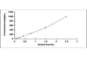 Typical standard curve (NEXN ELISA 试剂盒)