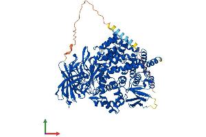 AlphaFold protein structure predicition of Human Recombinant ENPEP Protein, UniprotID Q07075