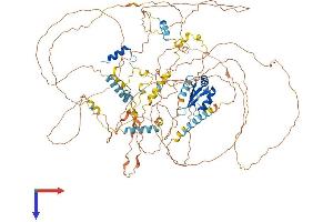 AlphaFold protein structure predicition of Human Recombinant PPARGC1B Protein, UniprotID Q86YN6 (PPARGC1B Protein (AA 1-1023) (His tag))