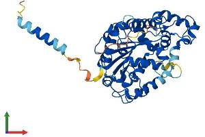 Protein Structure (PS) image for Carbohydrate (N-Acetylglucosamine 6-O) Sulfotransferase 6 (CHST6) (AA 1-395) protein (His tag) (ABIN7553288)
