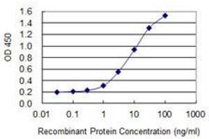 Detection limit for recombinant GST tagged TJP2 is 0. (TJP2 抗体  (AA 121-218))