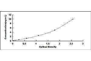 Typical standard curve (CALML5 ELISA 试剂盒)