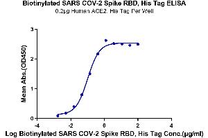 Immobilized Human ACE2, His Tag at 2 μg/mL (100 μL/Well) on the plate.
