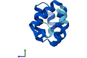 Protein Structure (PS) image for Caspase Recruitment Domain-Containing Protein 18 (ICEBERG) (CARD18) (AA 1-90) protein (His tag) (ABIN7552965)