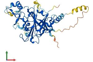 Protein Structure (PS) image for Programmed Cell Death 2 (PDCD2) (AA 1-344) protein (His tag) (ABIN7550670)