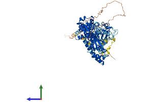 Protein Structure (PS) image for rho-Related BTB Domain Containing 1 (RHOBTB1) (AA 1-695) protein (His tag) (ABIN7561225)