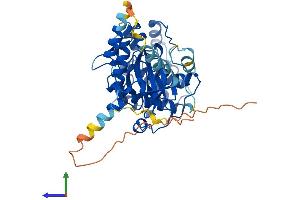 Protein Structure (PS) image for serine/threonine Kinase 32B (STK32B) (AA 1-414) protein (His tag) (ABIN7546473)