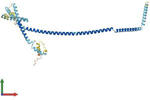 Protein Structure (PS) image for HAUS Augmin-Like Complex, Subunit 4 (HAUS4) (AA 1-363) protein (His tag) (ABIN7558495)