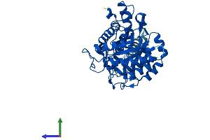 AlphaFold protein structure predicition of Mouse Recombinant Dhodh Protein, UniprotID O35435 (DHODH Protein (AA 1-395) (His tag))