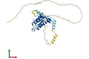 Protein Structure (PS) image for GTP Binding Protein Overexpressed in Skeletal Muscle (GEM) (AA 1-295) protein (His tag) (ABIN7556459)