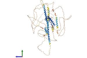 Protein Structure (PS) image for SRY (Sex Determining Region Y)-Box 6 (SOX6) (AA 1-827) protein (His tag) (ABIN7563213)