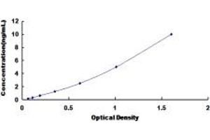 Typical standard curve (DAP Kinase 1 ELISA 试剂盒)