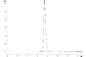 The purity of Human CD28H is greater than 95 % as determined by SEC-HPLC.