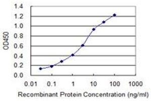 Detection limit for recombinant GST tagged PARP1 is 0. (PARP1 抗体  (AA 1-100))