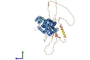 Protein Structure (PS) image for Solute Carrier Family 20 (Phosphate Transporter), Member 1 (SLC20A1) (AA 1-679) protein (His tag) (ABIN7555399)