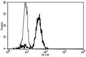 Flow Cytometry (FACS) image for anti-CD86 (CD86) antibody (FITC) (ABIN1106595) (CD86 抗体  (FITC))