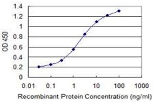 Detection limit for recombinant GST tagged HDGFRP3 is 0. (HDGFRP3 抗体  (AA 1-203))