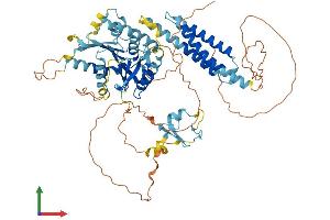 Protein Structure (PS) image for Ring Finger Protein 112 (RNF112) (AA 1-654) protein (His tag) (ABIN7560288)