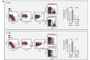 Flow Cytometry (FACS) image for 10X PBS pH 7.2 (ABIN925546)
