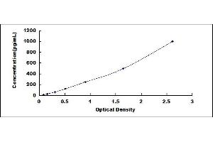 Typical standard curve (CCL2 ELISA 试剂盒)