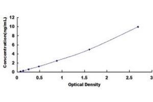 Typical standard curve (ETS1 ELISA 试剂盒)