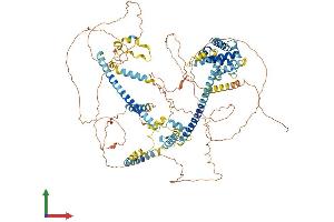 Protein Structure (PS) image for HAUS Augmin-Like Complex, Subunit 6 (HAUS6) (AA 1-955) protein (His tag) (ABIN7554061)