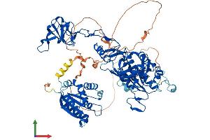 AlphaFold protein structure predicition of Mouse Recombinant Gphn Protein, UniprotID Q8BUV3 (Gephyrin Protein (GPHN) (AA 1-769) (His tag))