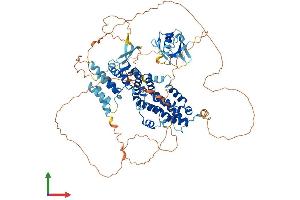 Protein Structure (PS) image for Ral Guanine Nucleotide Dissociation Stimulator (RALGDS) (AA 1-852) protein (His tag) (ABIN7563590)