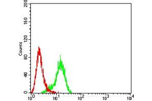 Flow cytometric analysis of Hela cells using PLXNA1 mouse mAb (green) and negative control (red). (Plexin A1 抗体  (AA 1100-1200))
