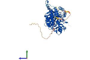 Protein Structure (PS) image for Dihydropyrimidinase-Like 3 (DPYSL3) (AA 1-570) protein (His tag) (ABIN7557766)