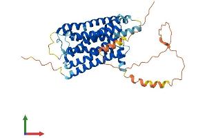 Protein Structure (PS) image for Histamine Receptor H2 (HRH2) (AA 1-397) protein (His tag) (ABIN7556774)