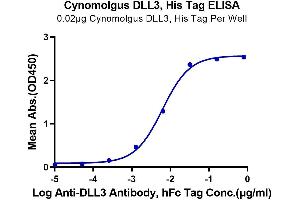 ELISA image for delta Like Protein 3 (DLL3) (AA 27-477) protein (His tag) (ABIN7274480)
