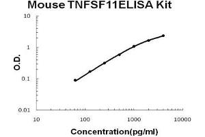 Mouse TNFSF11/RANKL PicoKine ELISA Kit standard curve (RANKL ELISA 试剂盒)