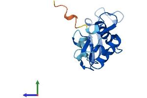 AlphaFold protein structure predicition of Human Recombinant FKBP9P1 Protein, UniprotID Q75LS8