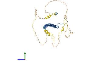Protein Structure (PS) image for CCAAT/enhancer Binding Protein (C/EBP), epsilon (CEBPE) (AA 1-281) protein (His tag) (ABIN7558091)