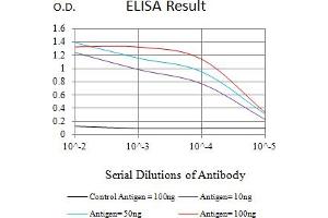 Black line: Control Antigen (100 ng),Purple line: Antigen (10 ng), Blue line: Antigen (50 ng), Red line:Antigen (100 ng) (CAPNL1 抗体  (AA 501-714))