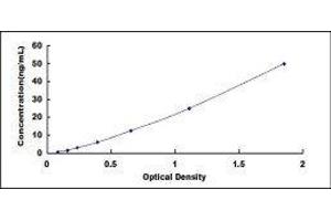 Prolylcarboxypeptidase (PRCP) ELISA Kit