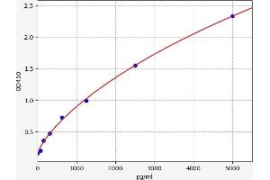 Typical standard curve