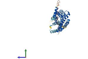 AlphaFold protein structure predicition of Human Recombinant CXCR6 Protein, UniprotID O00574