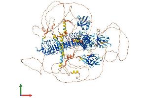 AlphaFold protein structure predicition of Mouse Recombinant Scrib Protein, UniprotID Q80U72 (SCRIB Protein (AA 1-1612) (His tag))