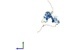 Protein Structure (PS) image for Tripartite Motif Containing 54 (TRIM54) (AA 1-358) protein (His tag) (ABIN7544626)