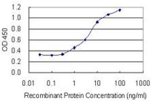 Detection limit for recombinant GST tagged NANOS3 is 0. (NANOS3 抗体  (AA 1-100))