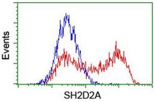 HEK293T cells transfected with either RC204162 overexpress plasmid (Red) or empty vector control plasmid (Blue) were immunostained by anti-SH2D2A antibody (ABIN2455613), and then analyzed by flow cytometry. (SH2D2A 抗体)