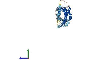 Protein Structure (PS) image for Chemokine (C-C Motif) Receptor 4 (CCR4) (AA 1-360) protein (His tag) (ABIN7563392)