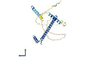 AlphaFold protein structure predicition of Mouse Recombinant Ccdc59 Protein, UniprotID Q8R2N0