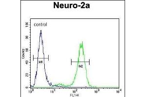 DDX11 Antibody (Center) (ABIN654411 and ABIN2844149) flow cytometric analysis of Neuro-2a cells (right histogram) compared to a negative control cell (left histogram). (DDX11 抗体  (AA 656-683))