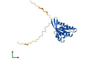 Protein Structure (PS) image for RAB5A, Member RAS Oncogene Family (RAB5A) (AA 1-215) protein (His tag) (ABIN7560532)