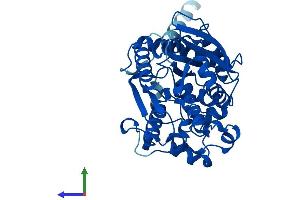 AlphaFold protein structure predicition of Mouse Recombinant Aadac Protein, UniprotID Q99PG0 (AADAC Protein (AA 1-398) (His tag))